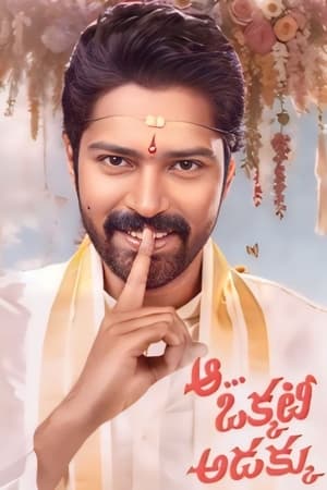 Aa Okkati Adakku 2024 Telugu